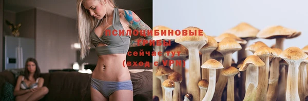 молекула духа Коряжма