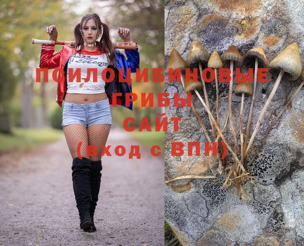 герыч Корсаков