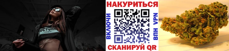 Бошки марихуана сатива  закладки  мориарти клад  Куртамыш 